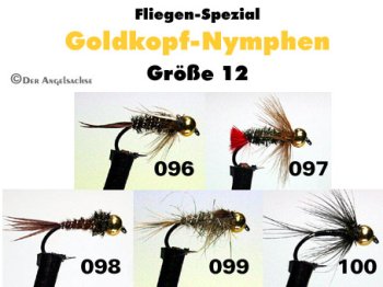 Goldkopfnymphen Größe 12