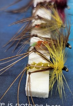 Turrall  Stillwater Hopper/Dries   Trockenfliegen- und Hopper-Set  FinestFishingFlies