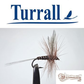 Turrall No.15 Choroterpes Spent in Größe 16 Special European Dry -Eine klassische, traditionelle Trockenfliege aus England-