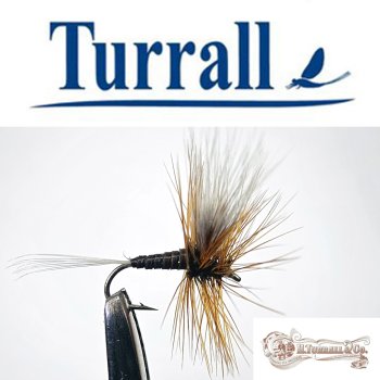 Turrall No.14 Choroterpes Dun in Größe 16 Special European Dry -Eine klassische, traditionelle Trockenfliege aus England-